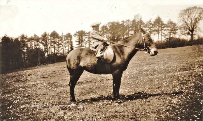Jackie Lambert from Crowborough sitting on a horse.