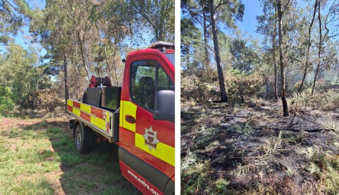 Photos showing fire damage to Ashdown Forest blaze this morning.