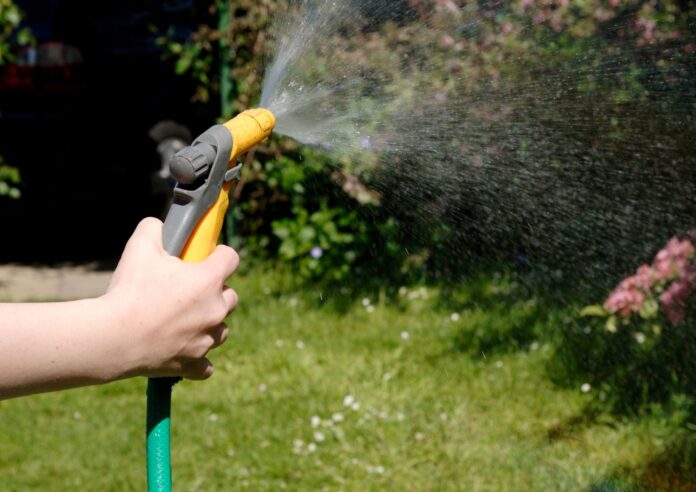 Gardener using a hosepipe